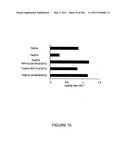 RNA DETECTION ASSAYS diagram and image