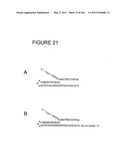 RNA DETECTION ASSAYS diagram and image