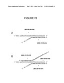 RNA DETECTION ASSAYS diagram and image