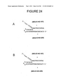 RNA DETECTION ASSAYS diagram and image