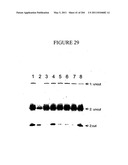 RNA DETECTION ASSAYS diagram and image