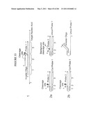 RNA DETECTION ASSAYS diagram and image