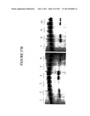 RNA DETECTION ASSAYS diagram and image