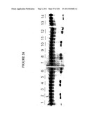 RNA DETECTION ASSAYS diagram and image