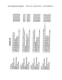 RNA DETECTION ASSAYS diagram and image