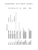 RNA DETECTION ASSAYS diagram and image