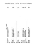 RNA DETECTION ASSAYS diagram and image