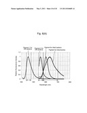 METHOD FOR TESTING MICROORGANISM OR THE LIKE AND TESTING APPARATUS THEREFOR diagram and image