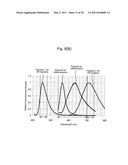 METHOD FOR TESTING MICROORGANISM OR THE LIKE AND TESTING APPARATUS THEREFOR diagram and image