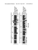 NOVEL KINASES AND USES THEREOF diagram and image