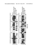 NOVEL KINASES AND USES THEREOF diagram and image