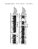 NOVEL KINASES AND USES THEREOF diagram and image