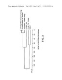 NOVEL KINASES AND USES THEREOF diagram and image