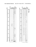 NOVEL KINASES AND USES THEREOF diagram and image