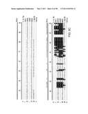 NOVEL KINASES AND USES THEREOF diagram and image