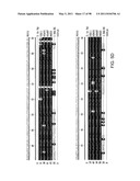 NOVEL KINASES AND USES THEREOF diagram and image