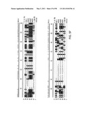 NOVEL KINASES AND USES THEREOF diagram and image