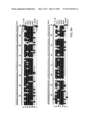 NOVEL KINASES AND USES THEREOF diagram and image