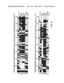 NOVEL KINASES AND USES THEREOF diagram and image