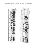 NOVEL KINASES AND USES THEREOF diagram and image