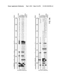 NOVEL KINASES AND USES THEREOF diagram and image