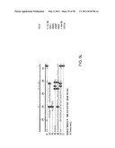 NOVEL KINASES AND USES THEREOF diagram and image