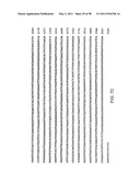 NOVEL KINASES AND USES THEREOF diagram and image