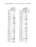 NOVEL KINASES AND USES THEREOF diagram and image