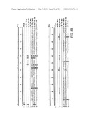 NOVEL KINASES AND USES THEREOF diagram and image