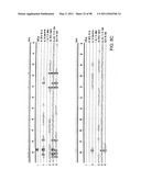 NOVEL KINASES AND USES THEREOF diagram and image