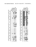 NOVEL KINASES AND USES THEREOF diagram and image