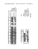 NOVEL KINASES AND USES THEREOF diagram and image