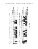 NOVEL KINASES AND USES THEREOF diagram and image