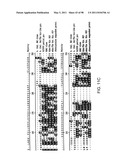 NOVEL KINASES AND USES THEREOF diagram and image