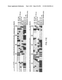 NOVEL KINASES AND USES THEREOF diagram and image