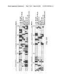 NOVEL KINASES AND USES THEREOF diagram and image