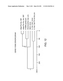 NOVEL KINASES AND USES THEREOF diagram and image