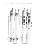 NOVEL KINASES AND USES THEREOF diagram and image