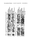 NOVEL KINASES AND USES THEREOF diagram and image