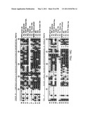 NOVEL KINASES AND USES THEREOF diagram and image