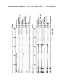 NOVEL KINASES AND USES THEREOF diagram and image