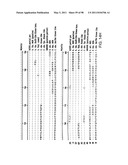 NOVEL KINASES AND USES THEREOF diagram and image