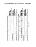 NOVEL KINASES AND USES THEREOF diagram and image