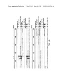 NOVEL KINASES AND USES THEREOF diagram and image