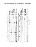 NOVEL KINASES AND USES THEREOF diagram and image