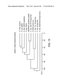 NOVEL KINASES AND USES THEREOF diagram and image