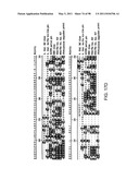 NOVEL KINASES AND USES THEREOF diagram and image