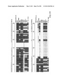 NOVEL KINASES AND USES THEREOF diagram and image