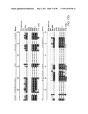 NOVEL KINASES AND USES THEREOF diagram and image