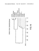 NOVEL KINASES AND USES THEREOF diagram and image